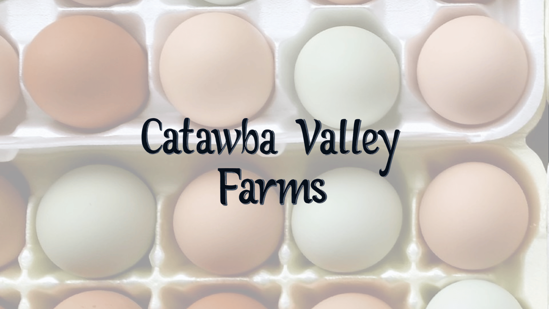 Catawba Valley Farms