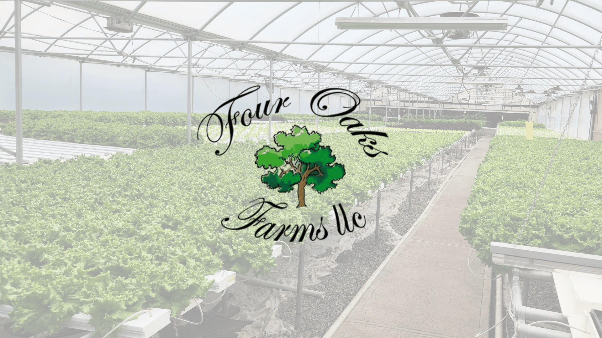 Four Oaks Farms, LLC