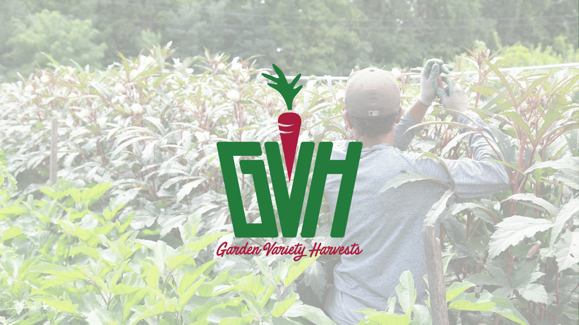 Garden Variety Harvests