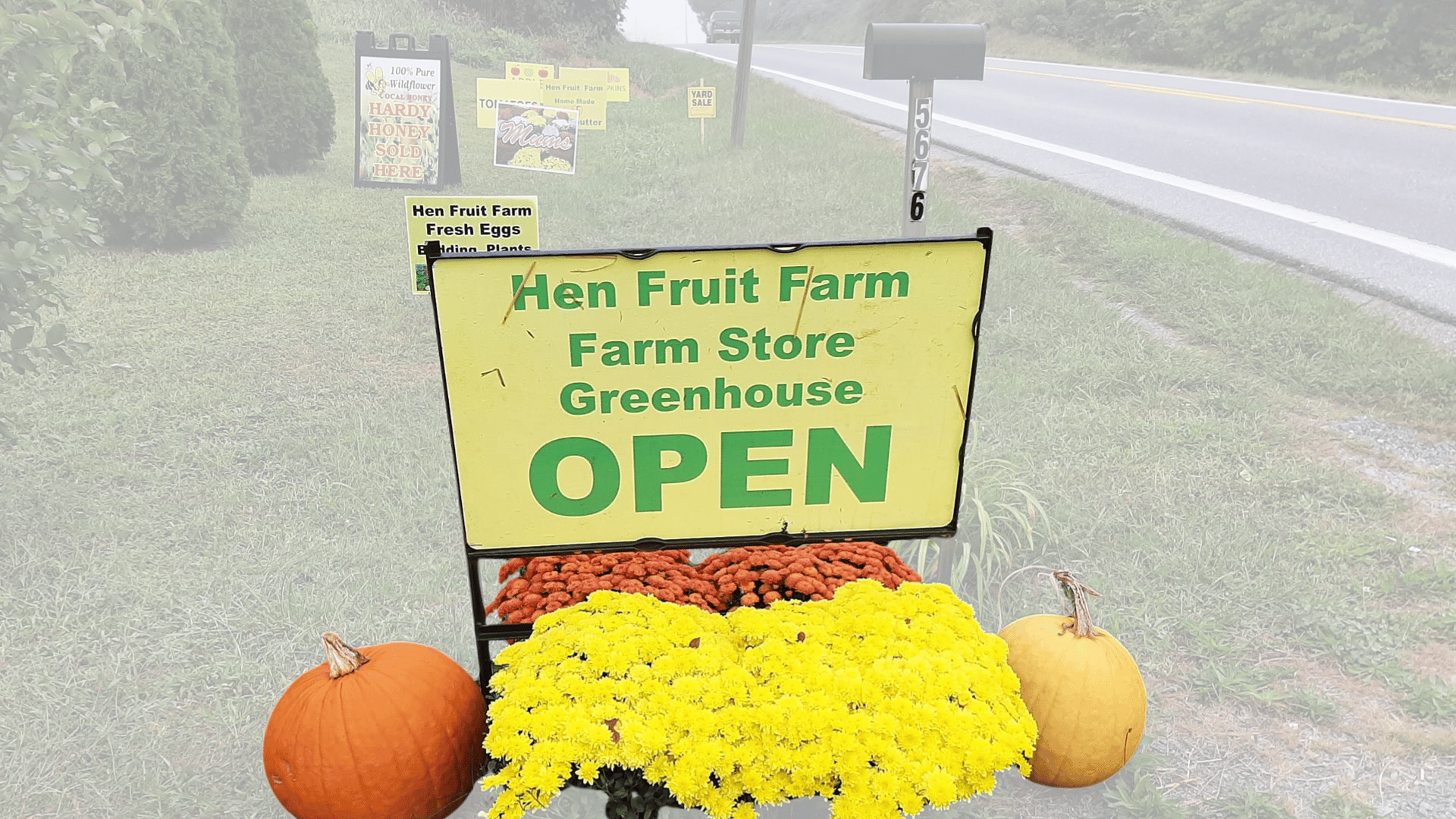 Hen Fruit Farm