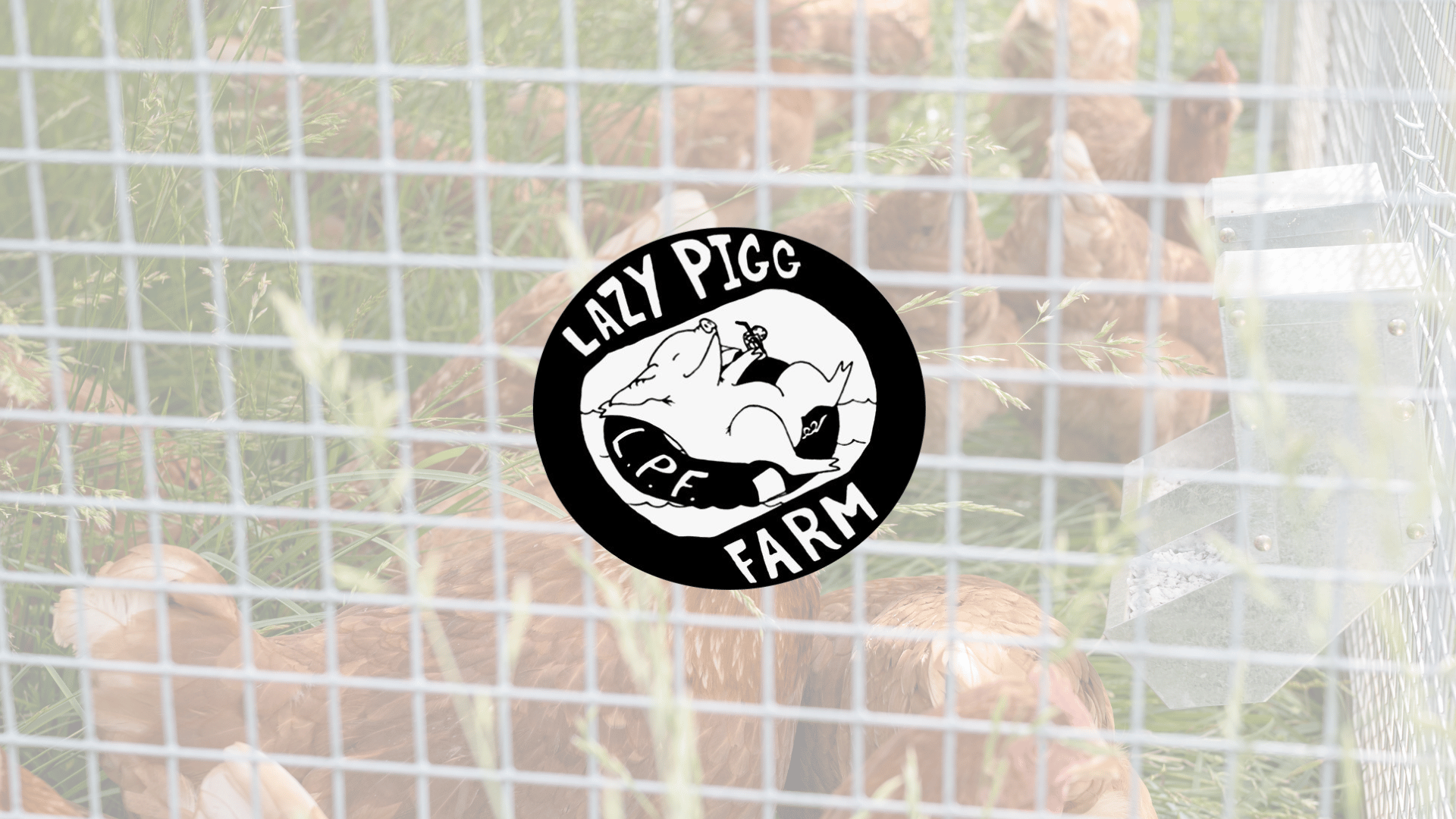Lazy Pigg Farm
