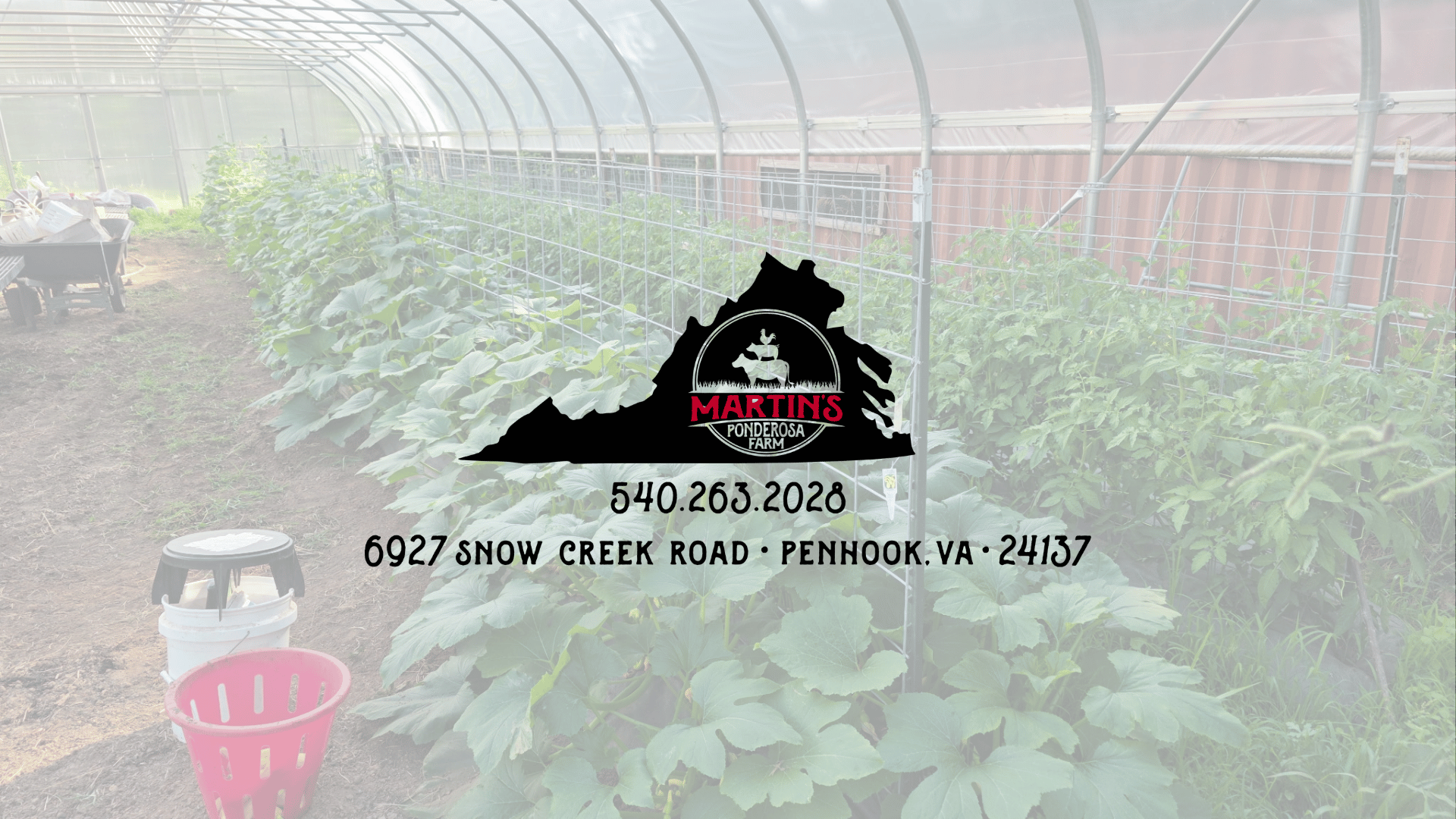 Martin's Ponderosa Farm