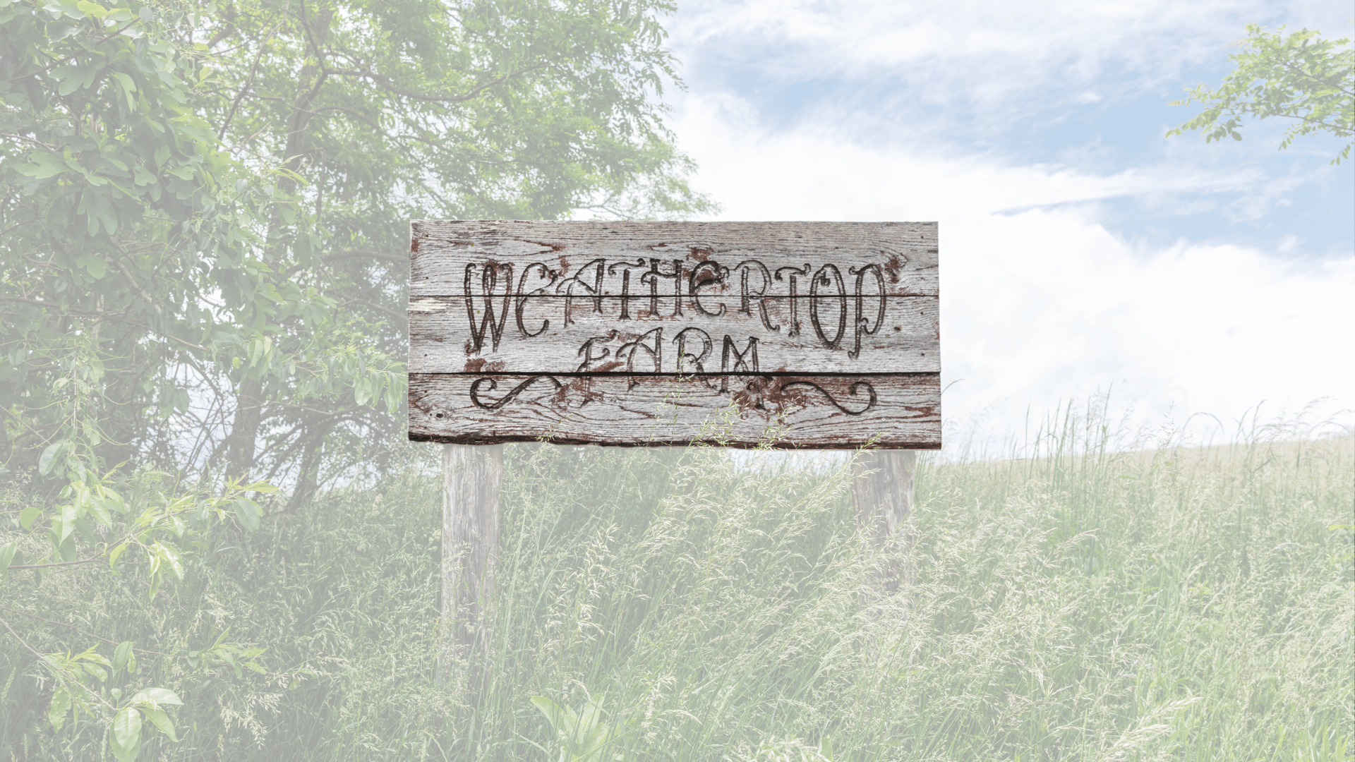 Weathertop Farm LLC