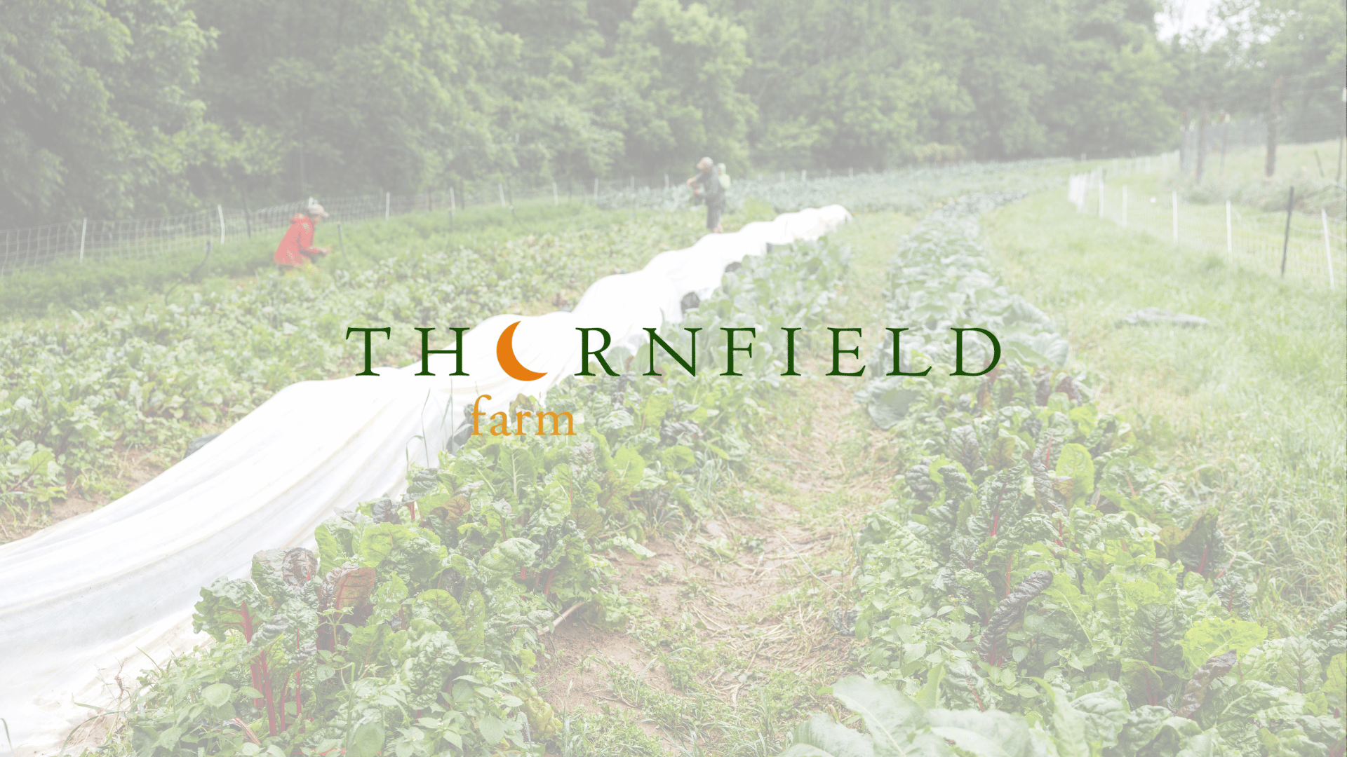 Thornfield Farm